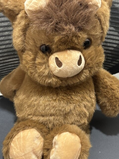 ChubbyHighlandCow Plushie