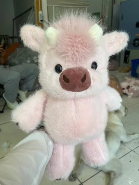 ChubbyHighlandCow Plushie