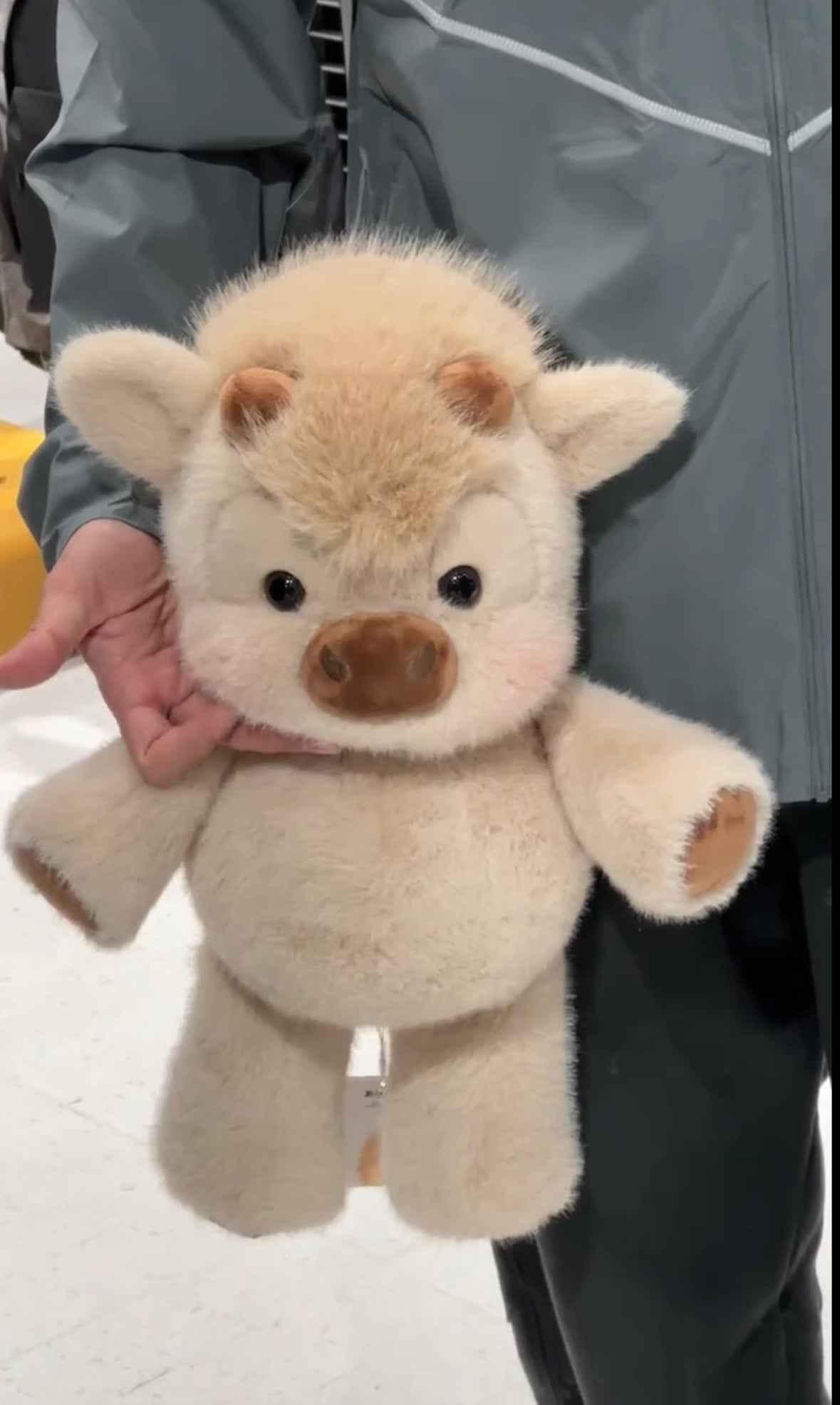 ChubbyHighlandCow Plushie