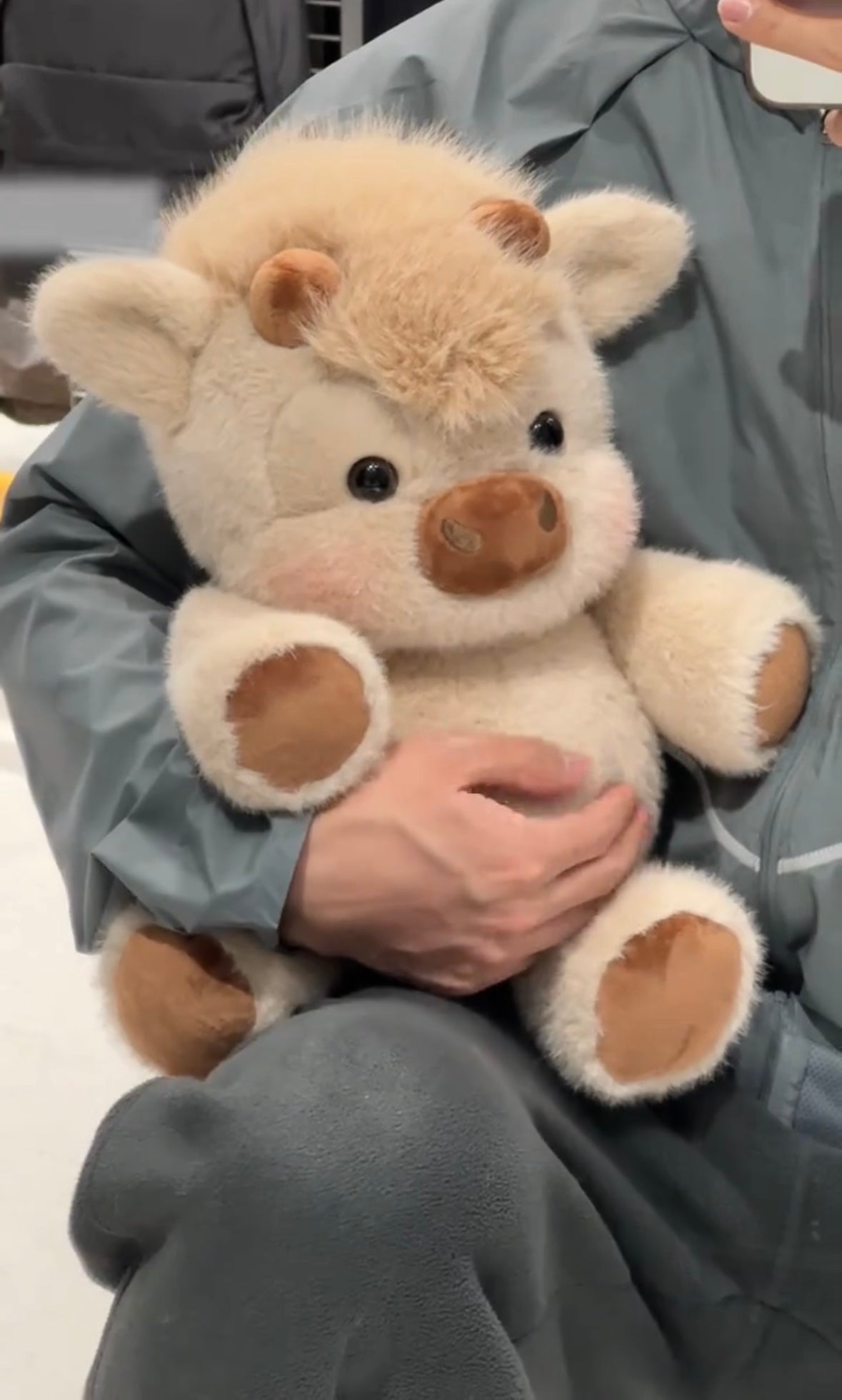 ChubbyHighlandCow Plushie