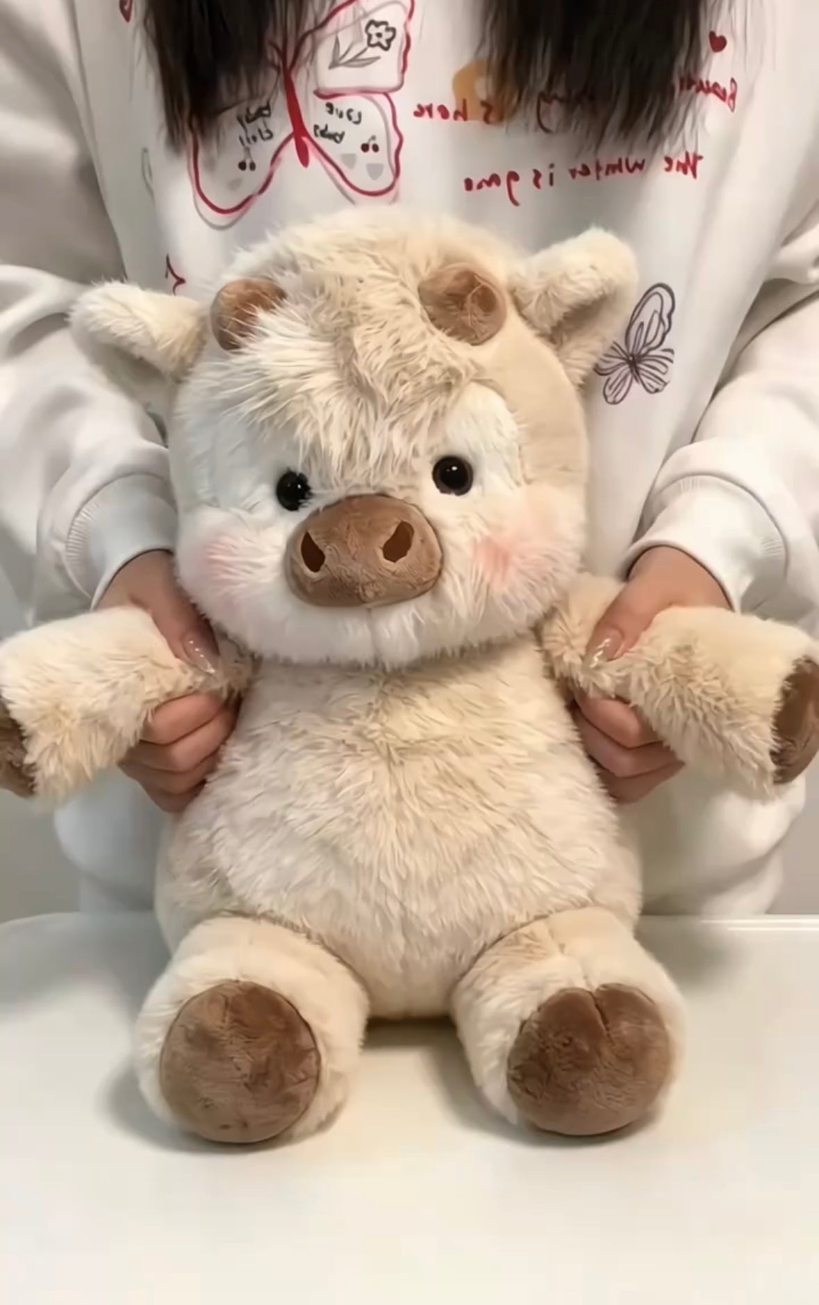 ChubbyHighlandCow Plushie