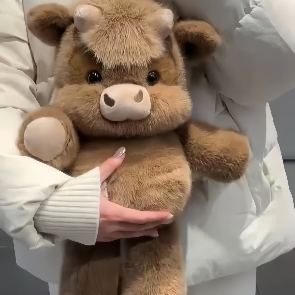 ChubbyHighlandCow Plushie